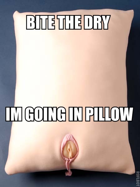 bite-the-dry-pillow