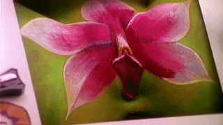 FlowerTouchup